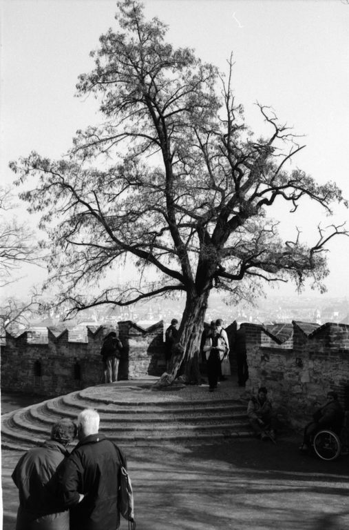 Image 57 of 63  -  89 kB