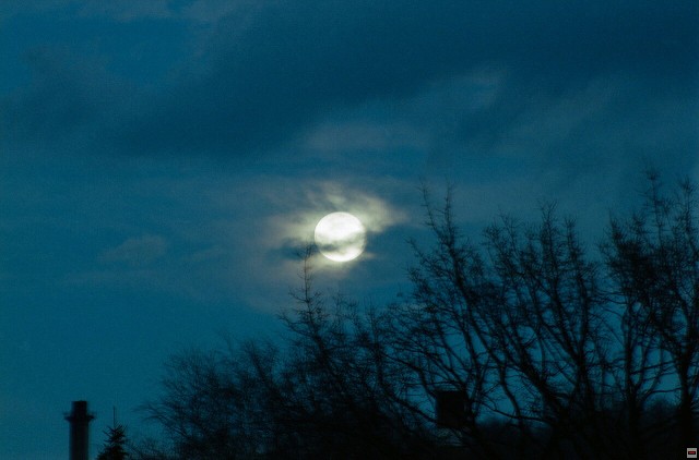 img00007.jpg