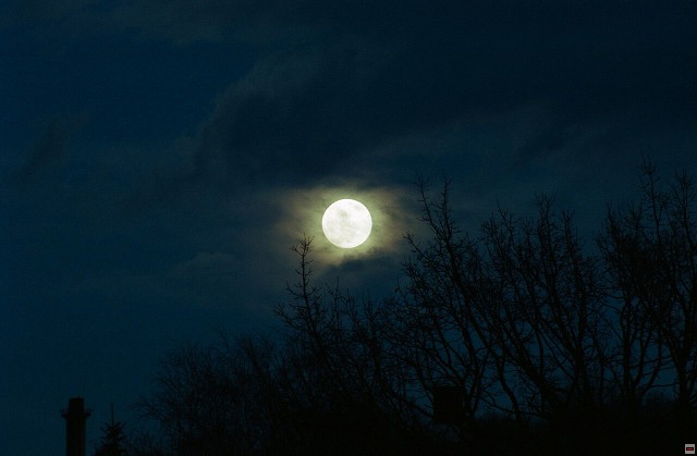 img00008.jpg