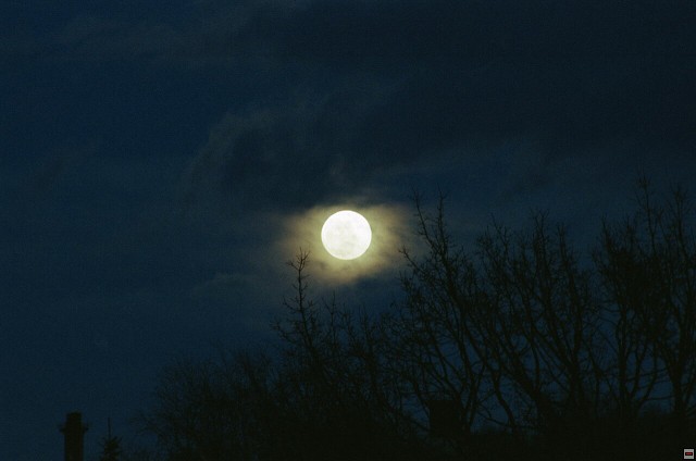 img00009.jpg