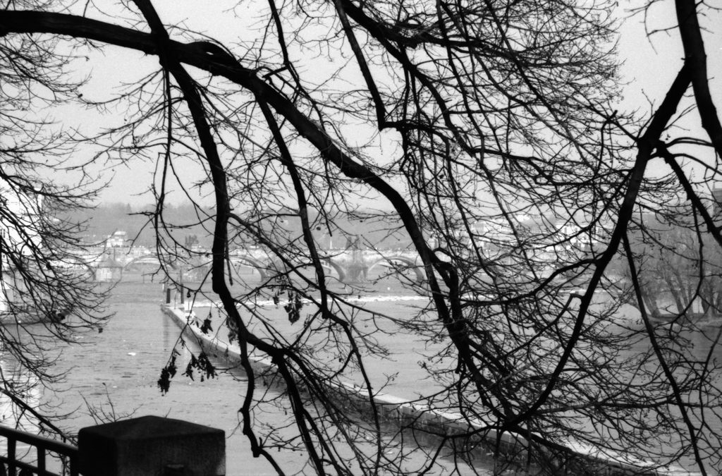 Image 35 of 63  -  208 kB