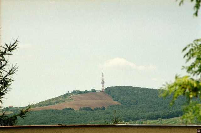 img00043.jpg